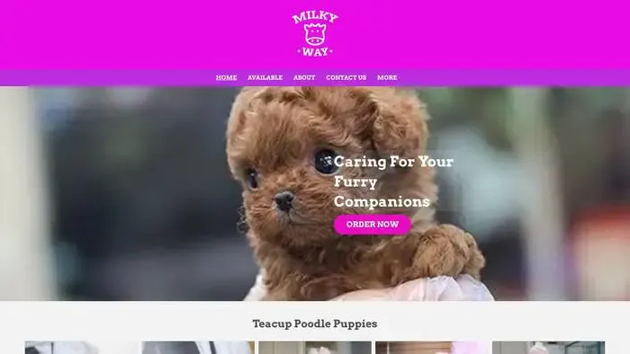 Screenshot of