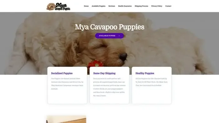 Screenshot of