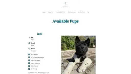 Screenshot of