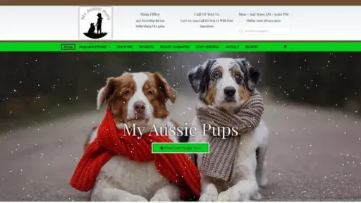 Screenshot of