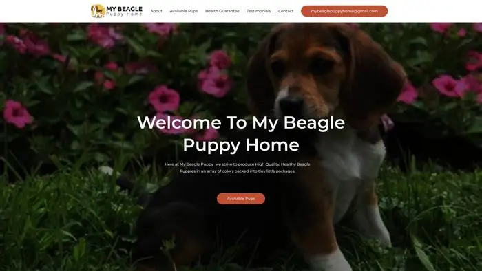 Screenshot of