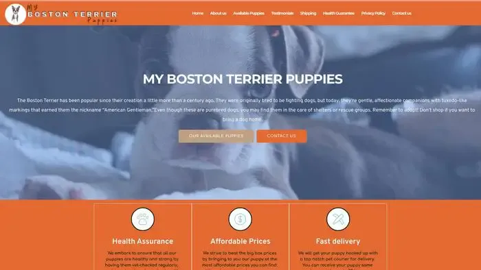Screenshot of