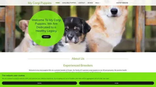 Screenshot of