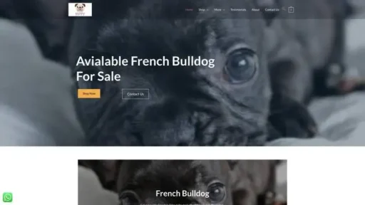 Screenshot of