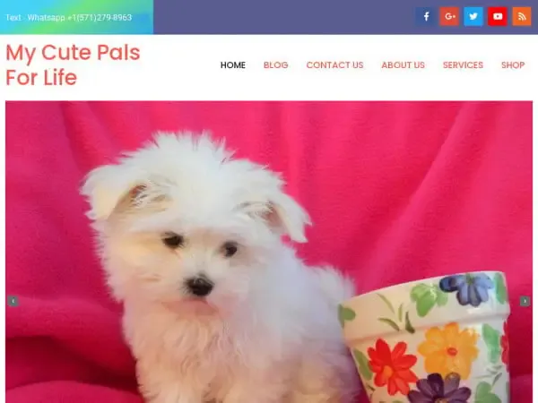 Screenshot of