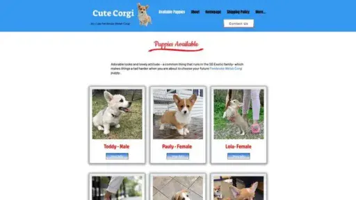 Screenshot of
