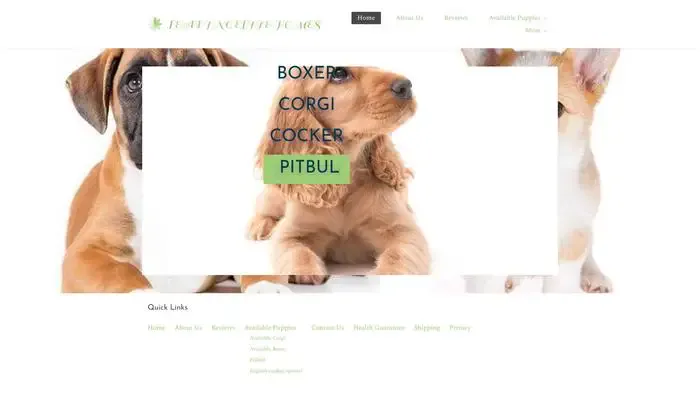 Screenshot of