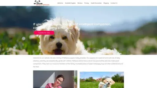 Screenshot of