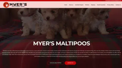Screenshot of