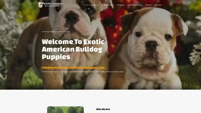Screenshot of