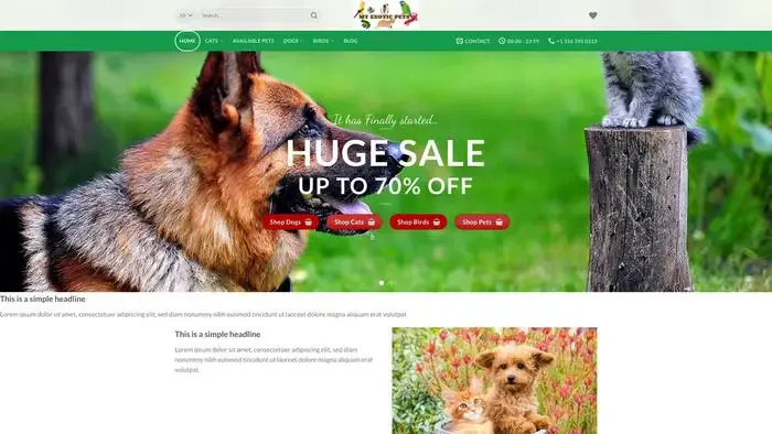 Screenshot of