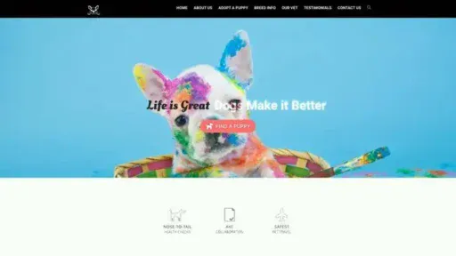 Screenshot of