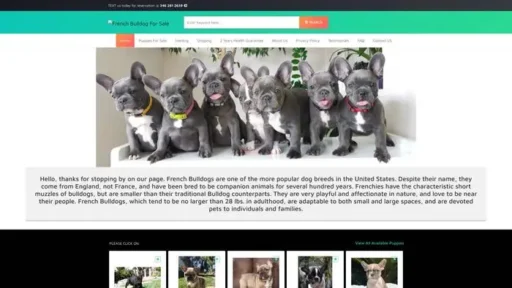 Screenshot of