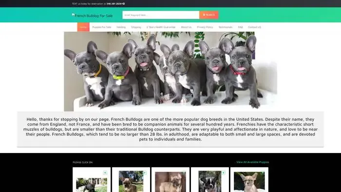 Screenshot of