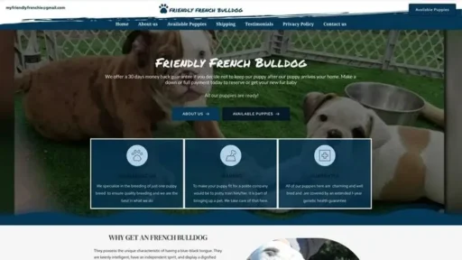 Screenshot of