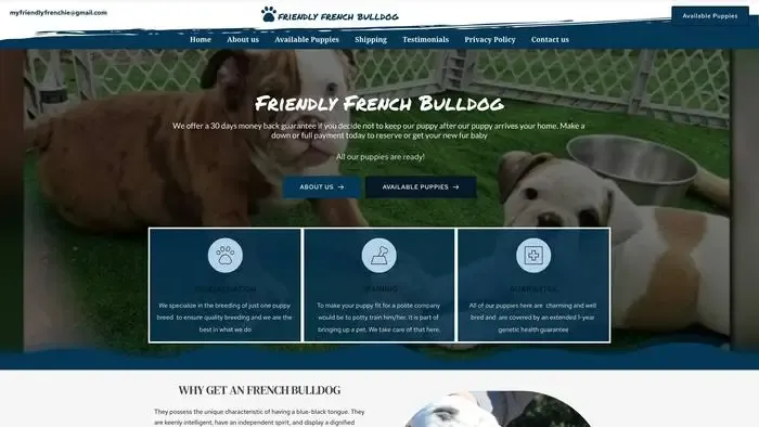 Screenshot of