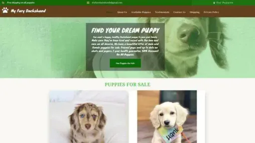 Screenshot of