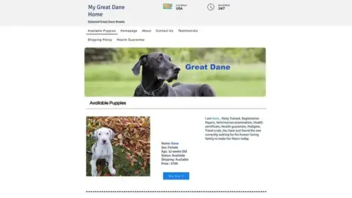 Screenshot of