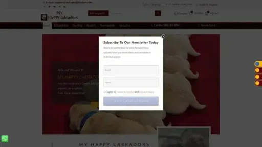 Screenshot of