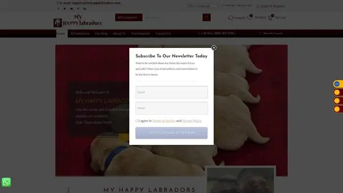 Screenshot of
