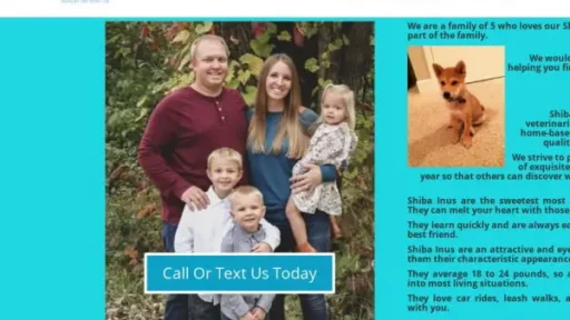 Screenshot of