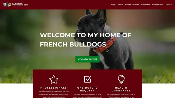 Screenshot of