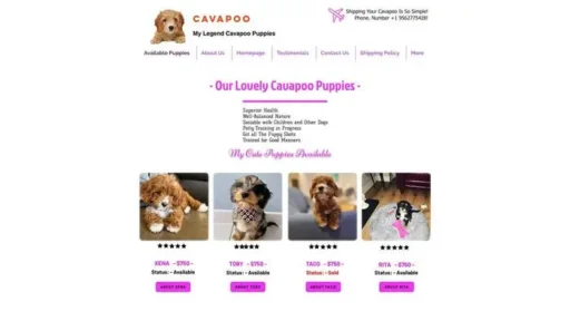 Screenshot of