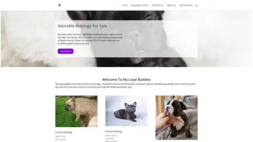 Screenshot of