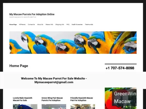 Screenshot of