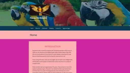Screenshot of