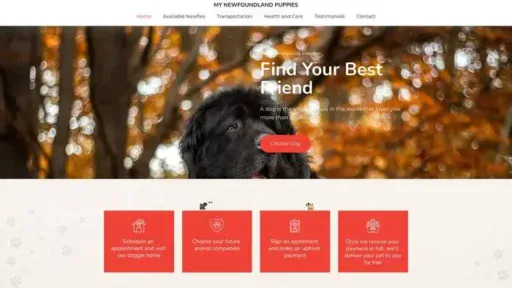 Screenshot of
