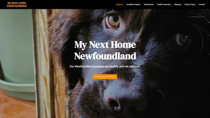 Screenshot of