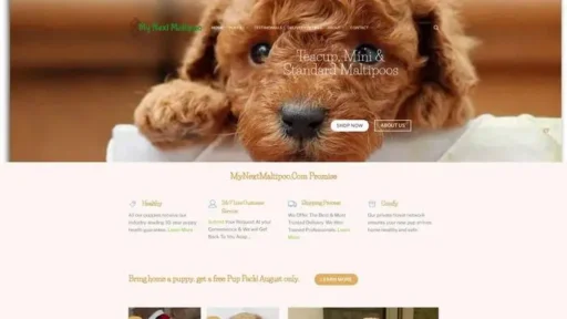 Screenshot of