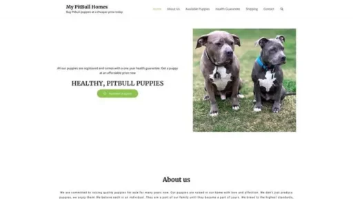 Screenshot of