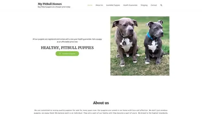 Screenshot of