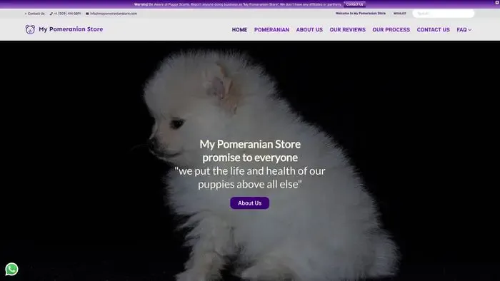 Screenshot of