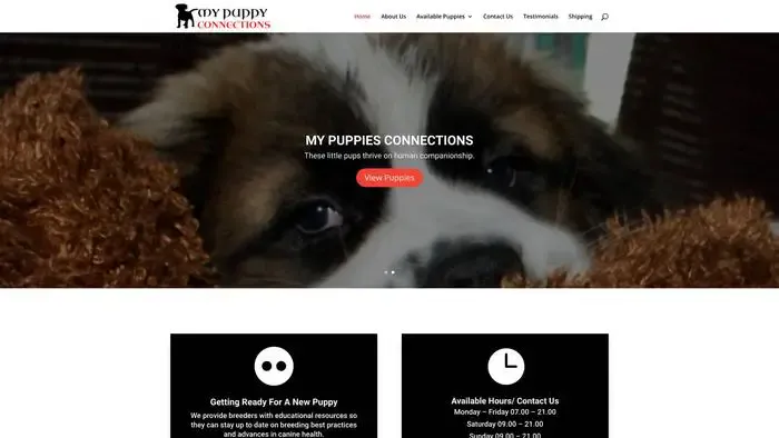 Screenshot of