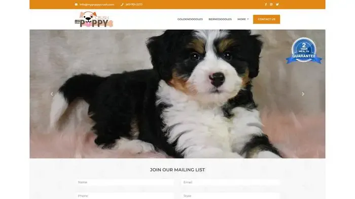 Screenshot of