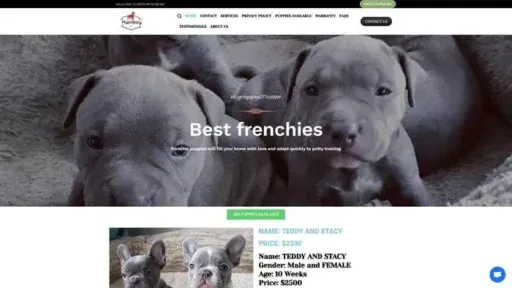 Screenshot of