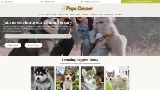 Screenshot of