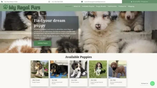 Screenshot of