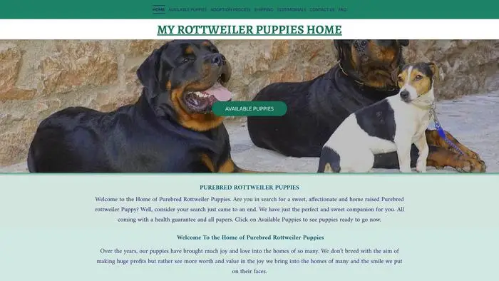 Screenshot of