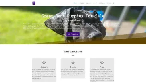 Screenshot of