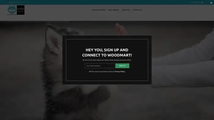 Screenshot of