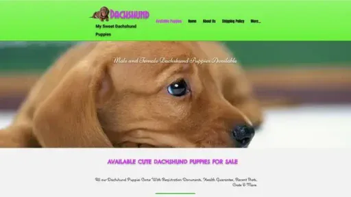 Screenshot of