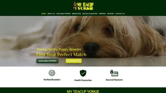 Screenshot of