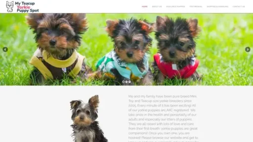 Screenshot of