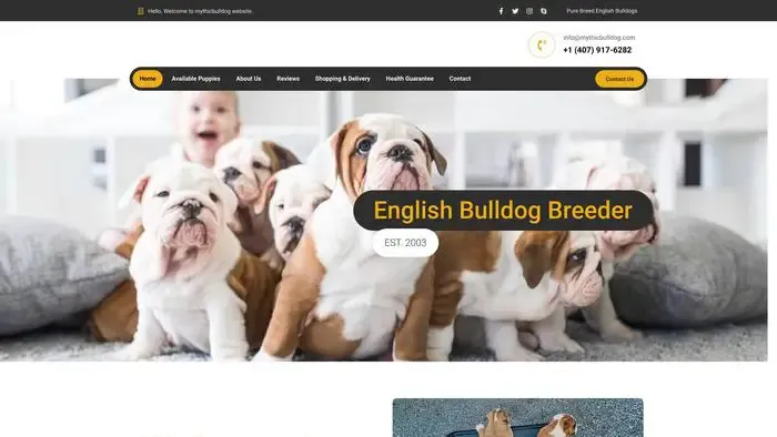 Screenshot of