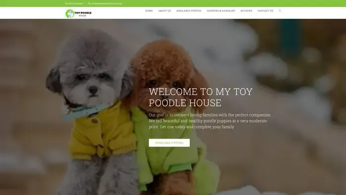 Screenshot of