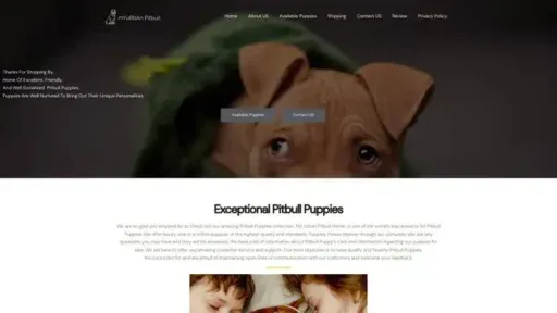 Screenshot of